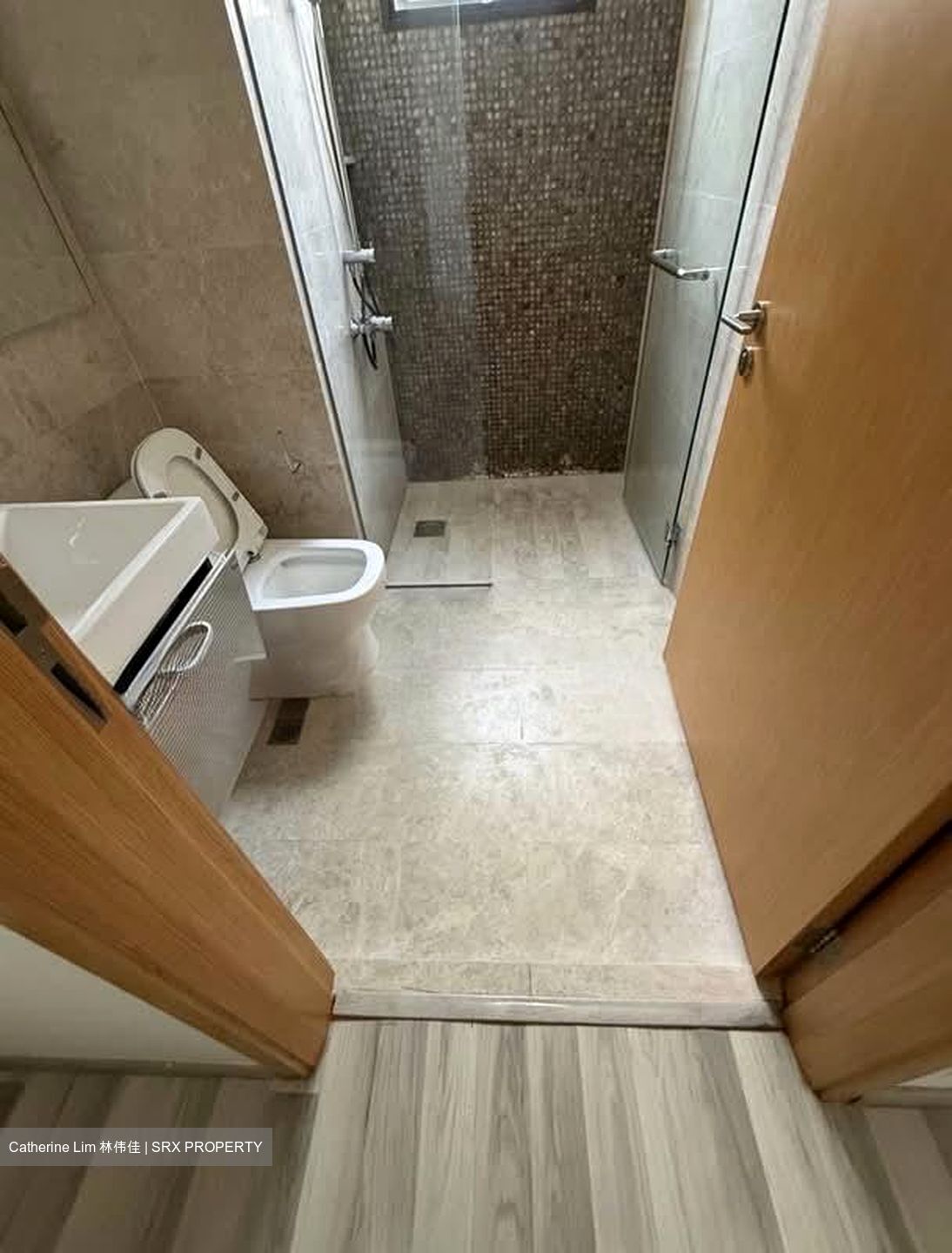 La Fiesta (D19), Condominium #546689721